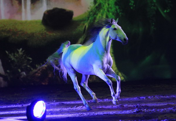 Apassionata_2014    007.jpg